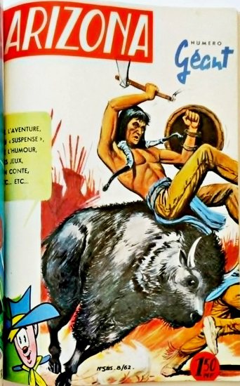 Fichier:ArizonaG 5bis.jpg