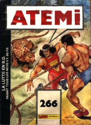 Atemi266.jpg