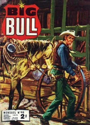 BigBull046.jpg