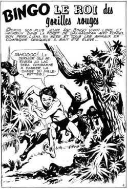 © Aventures et Voyages