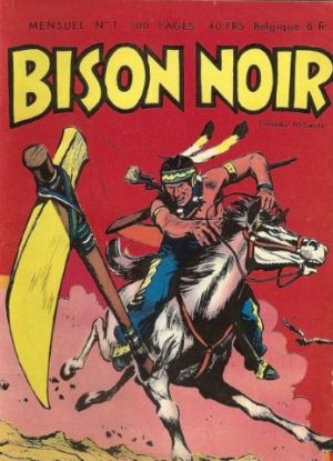 BisonNoir1 1.jpg