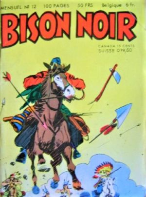 BisonNoir1 12.jpg