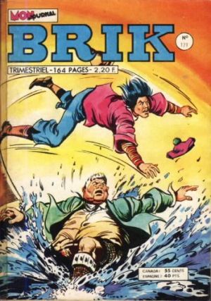 Brik171.jpg