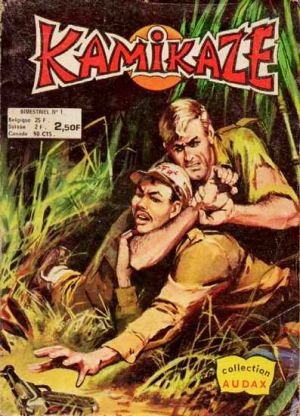 Kamikaze1.jpg