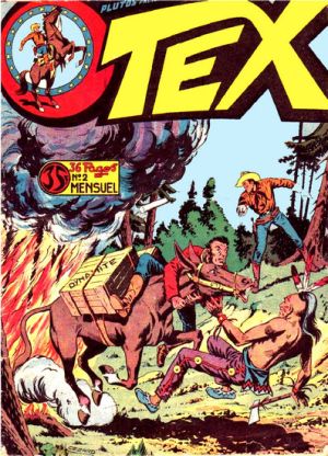 PlTex02.jpg