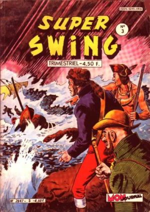 S.Swings03.jpg