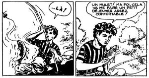 Tony Boy.jpg