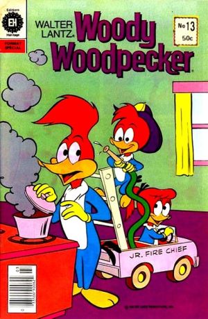 WoodyWoodpeckerH13.jpg